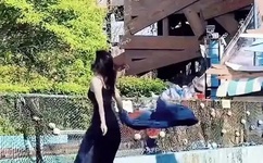 熟女人妻内射影院免费看